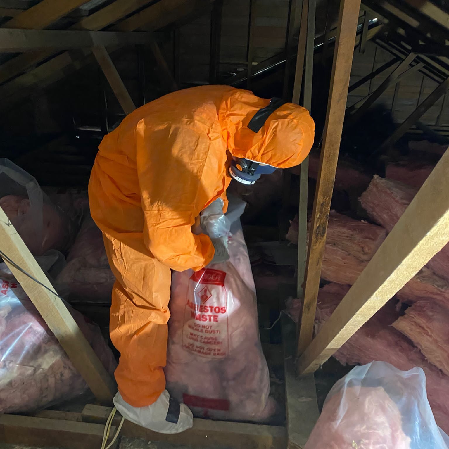 Asbestos removal worker is prepairing to remove an asbestos roof, he is bagging up the pink bats insulation.